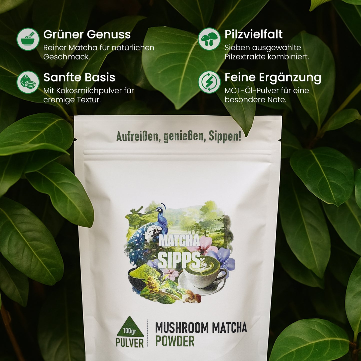 Matcha Pilztee